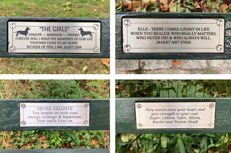 Benches Of Central Park preview 9